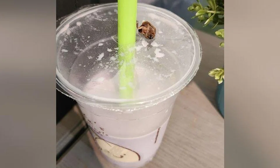 Woman finds cockroach in Mr Bean drink: 'I sucked in something that's not a pearl and with a crunch'