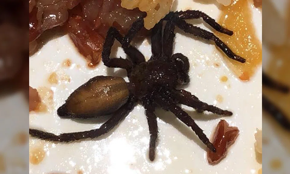 Photos: Siew Ping / Facebook