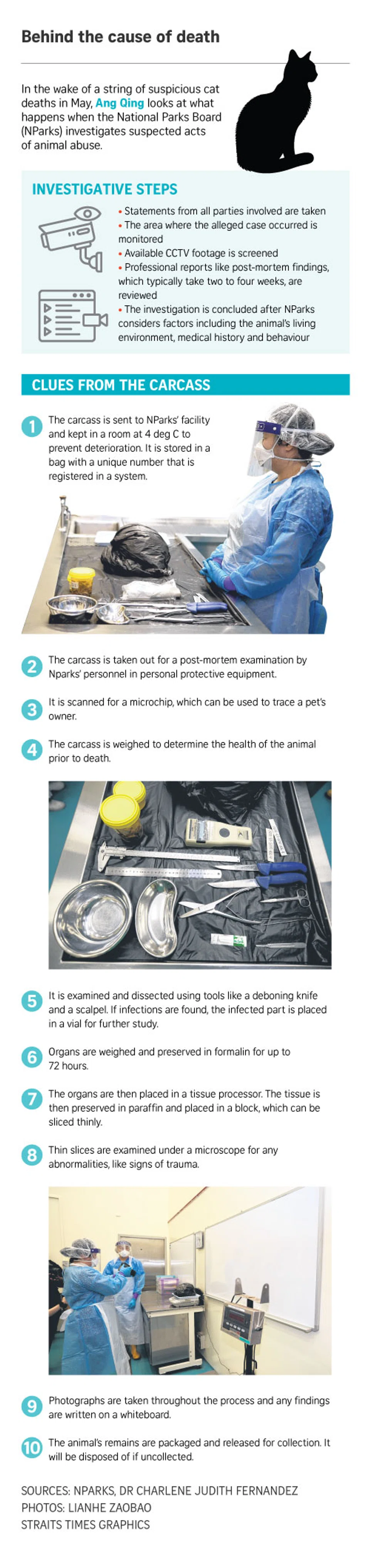 FILE PHOTO: The New Paper