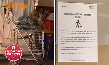 Pet dog seen at Tampines hawker centre despite ‘no pets allowed’ sign