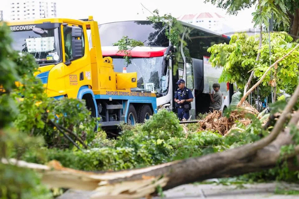 A private bus lost control and mounted the pavement, crashing into two trees.