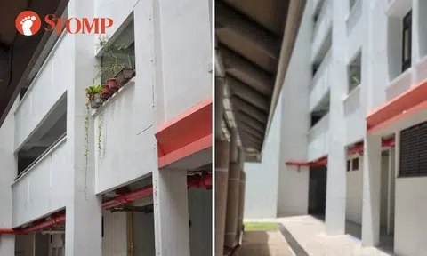 'Dangerous' flower pots on 2nd-storey parapet in Bukit Merah moved after delivery rider's feedback