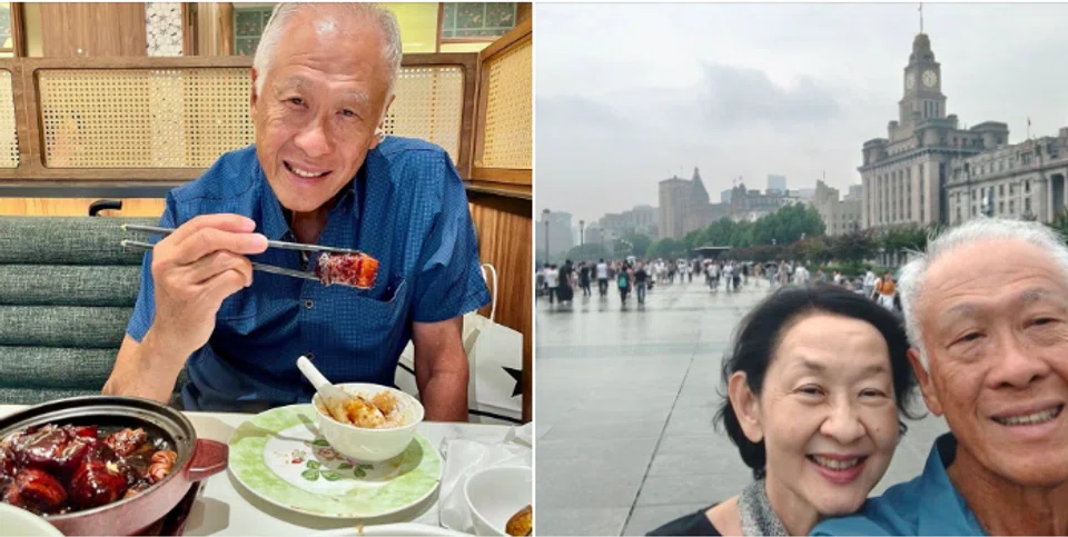 Ng Eng Hen, retirement, SAF crest, Singapore