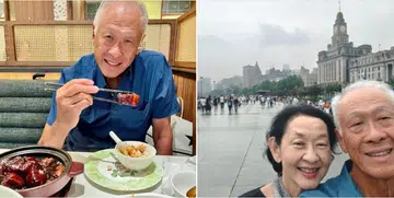 Ng Eng Hen, retirement, SAF crest, Singapore
