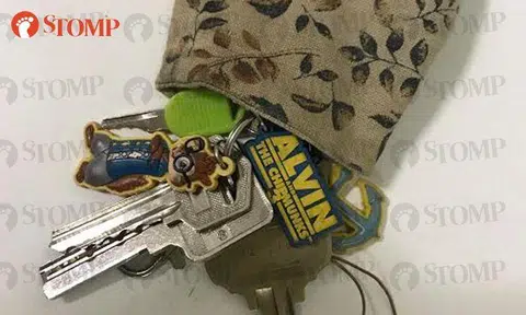 Are these your keys? You left them behind at a bus-stop in Guillemard Road