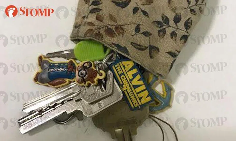 Are these your keys? You left them behind at a bus-stop in Guillemard Road