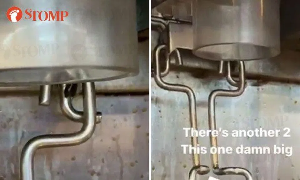 SFA takes action against Golden Mile restaurant after cockroaches spotted crawling on drinks dispenser