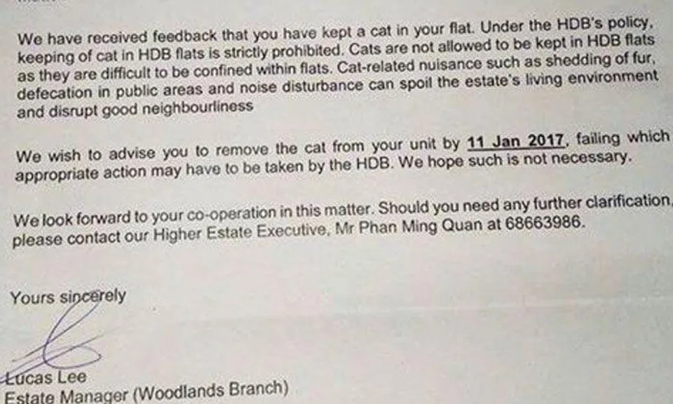 If dogs allowed, why not cats? Kitty lovers unhappy about no-cat rule in HDB flats