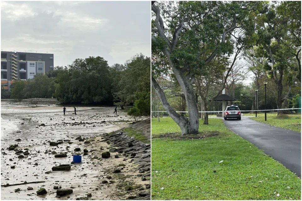 Police received a call for assistance at 8.30am that day, and the body was retrieved.