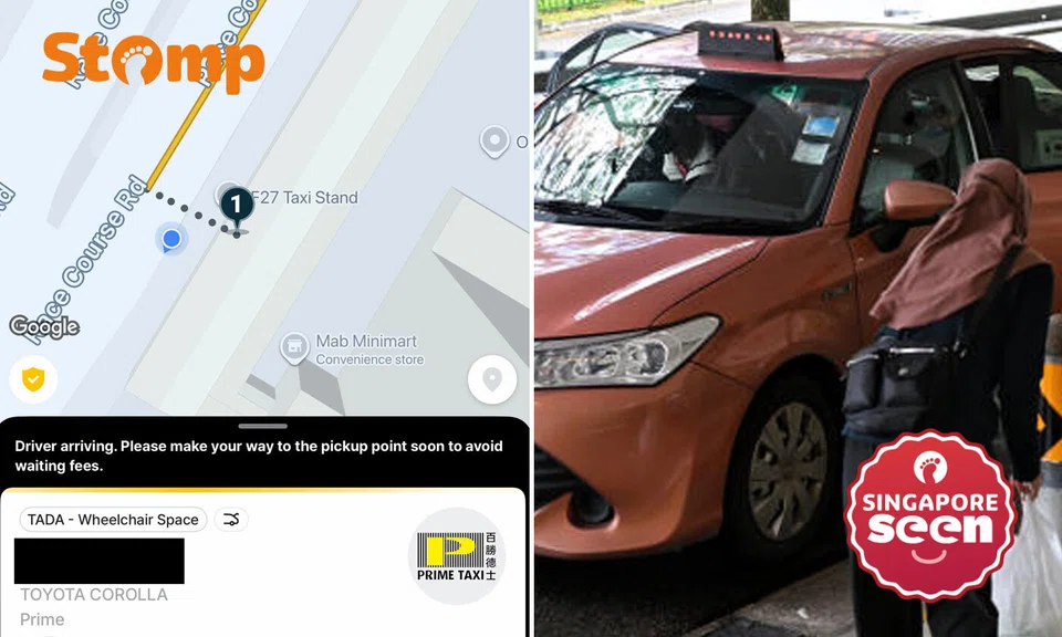 TADA, taxi driver, wheelchair user