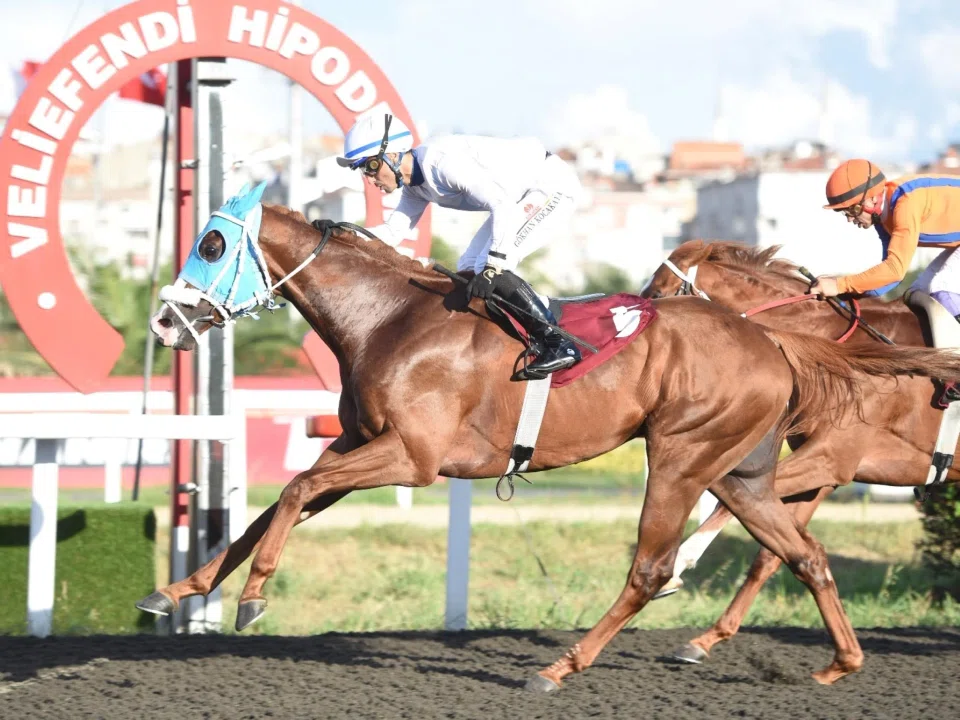 A horse winning at one of Turkiye's most famous racecourses, Veliefendi in Istanbul.
