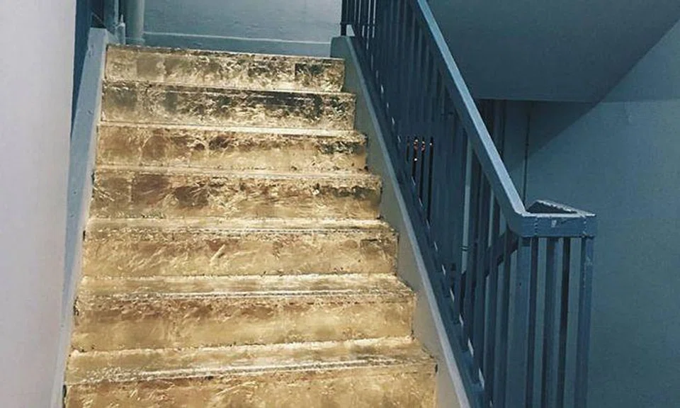 Photo: Reddit/pm_me_your_kukujiao