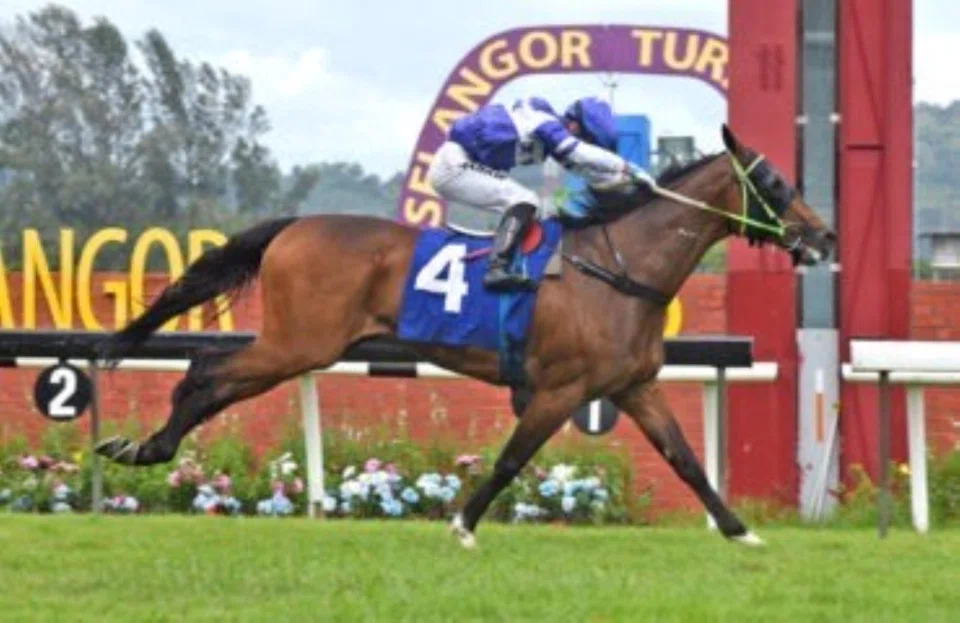 Te Akau Ben (Khaw Choon Kit) winning easily by seven lengths in the Metro A race (1,600m) on March 1. He showed good toe in his trackwork on April 1.