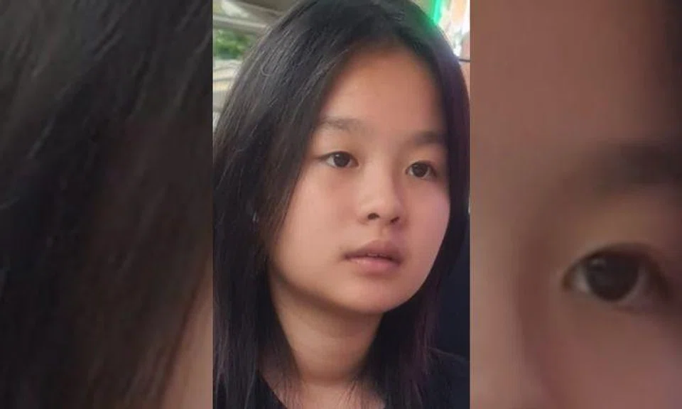 Found: Police appealing for info on 13-year-old girl last seen in Edgefield Plains on Aug 31