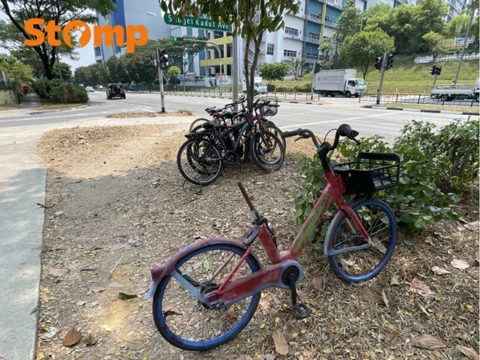 Vines grow around abandoned Anywheel bicycle in Sungei Kadut