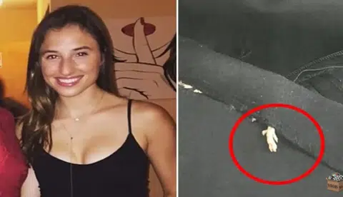 Woman in Manhattan sues Zara for sewing rat into dress