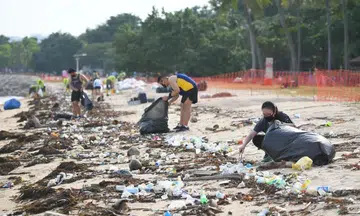 Singapore’s battle against marine trash is a joint effort helmed by both volunteers and the authorities.