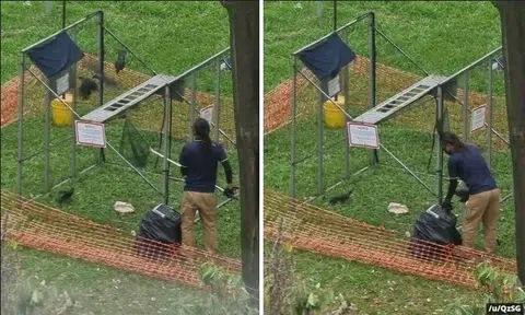 The video, showing a trap made of netting on what looks like a metal frame, was uploaded on Reddit recently.