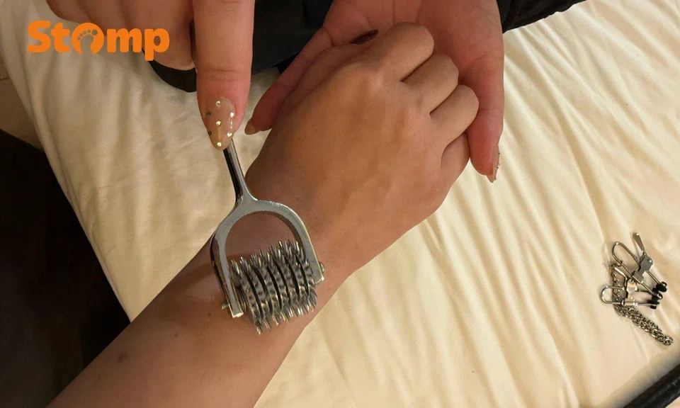 wartenberg wheel used in BDSM