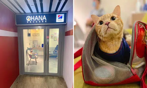 Woman claims she was told to leave vet clinic after dispute over 'walk-in fee'