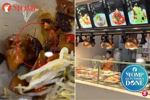 Her son was midway through his meal when he remarked that the chicken seemed to have grown a "stem".