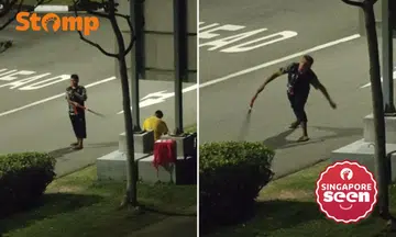 The source of the “loud nice popping” sound the Stomper heard from his home.