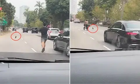 man chases pet puppy Still Road traffic