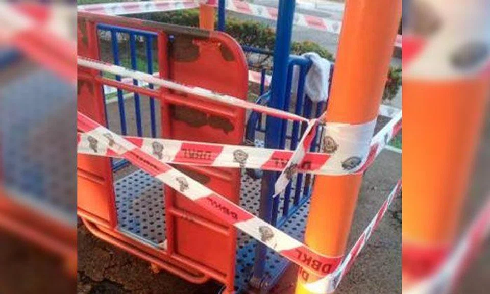 Malaysian girl, 15, dies in freak accident after getting head caught in swing meant for wheelchair users