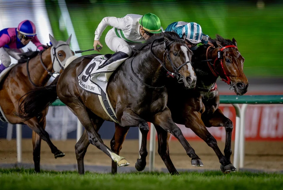 Japanese-bred Soul Rush (No. 9, Cristian Demuro) winning the bob from Romantic Warrior (James McDonald) in the Group 1 Dubai Turf (1,800m) at Meydan on April 5. The Hong Kong star was denied his 11th Group 1 win by a nose.