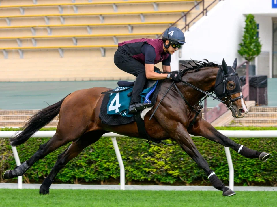 Prognosis stretching out enthusiastically on the Sha Tin turf track on April 23. The Japanese contender will attempt to go one better in the Group 1 FWD Queen Elizabeth II Cup (2,000m) on April 27 after two consecutive seconds in the past two renewals of the Champions Day feature. Star New Zealand jockey James McDonald will do the steering duties.
