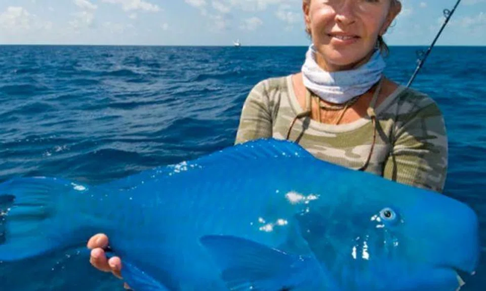 Real life 'Finding Dory'? Woman catches goofy-looking blue fish from the sea