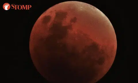 Did you catch a glimpse of the elusive 'super blue blood moon' on Wednesday night?