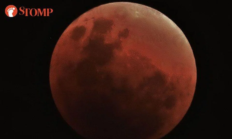 Did you catch a glimpse of the elusive 'super blue blood moon' on Wednesday night?
