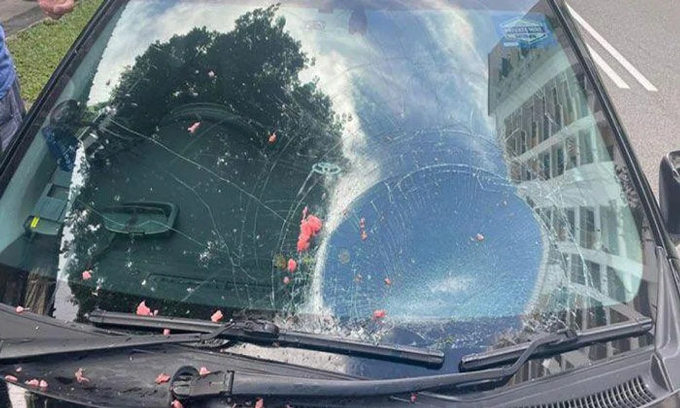 PHOTOS: SHIN MIN DAILY NEWS