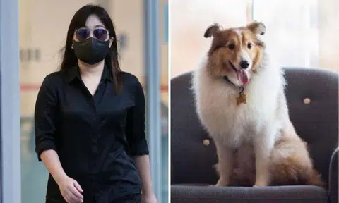 The actual cause of Prince's death could not be determined, as Charlotte Liew (left) had cremated him under a false identity. PHOTOS: ELAINE MAO YANLAN/FACEBOOK, GIN TAY