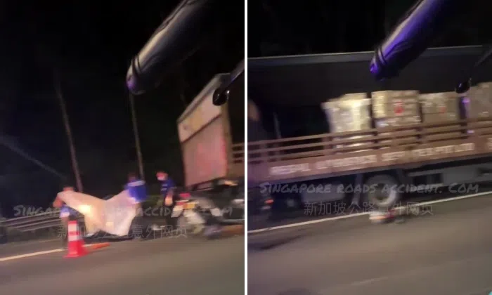 Motorcyclist killed in collision with lorry on PIE | STOMP