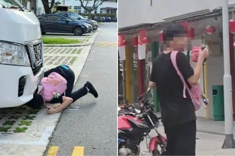 Residents raise alarm after man allegedly tries to attack community cats with penknife