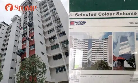 Man upset Eunos Rainbow residents not given option to retain current colour scheme in repainting of blocks
