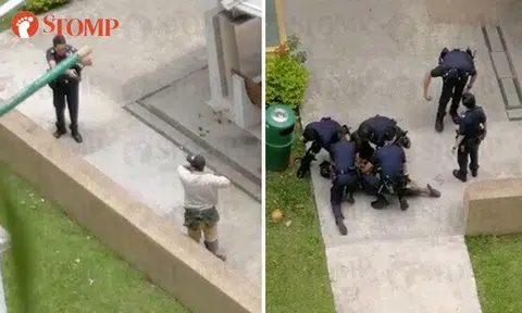 Man tasered, pinned down after turning violent and splashing thinner at police officers 