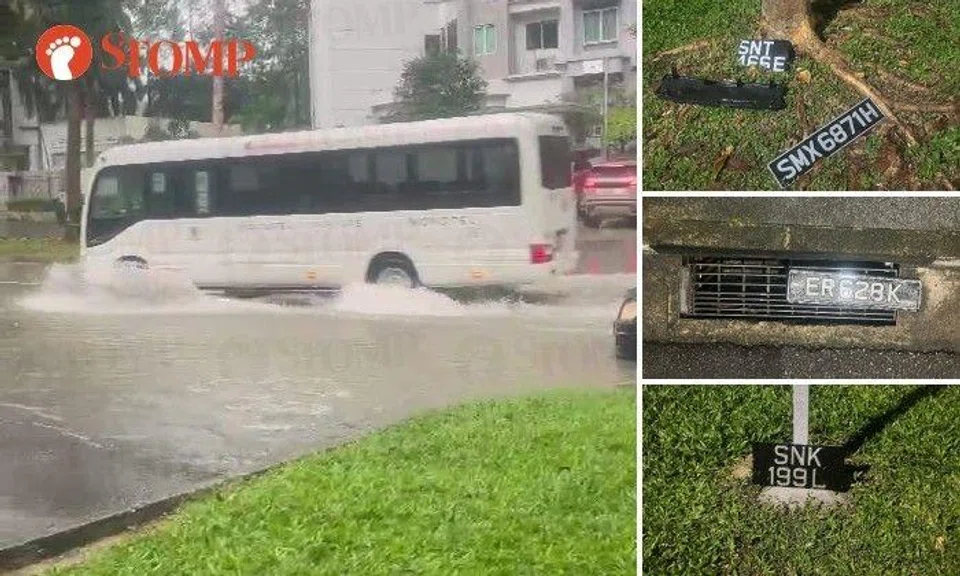Vehicle plates 'nicely placed' at side of Balmoral Road after flash flood: 'Quite funny'