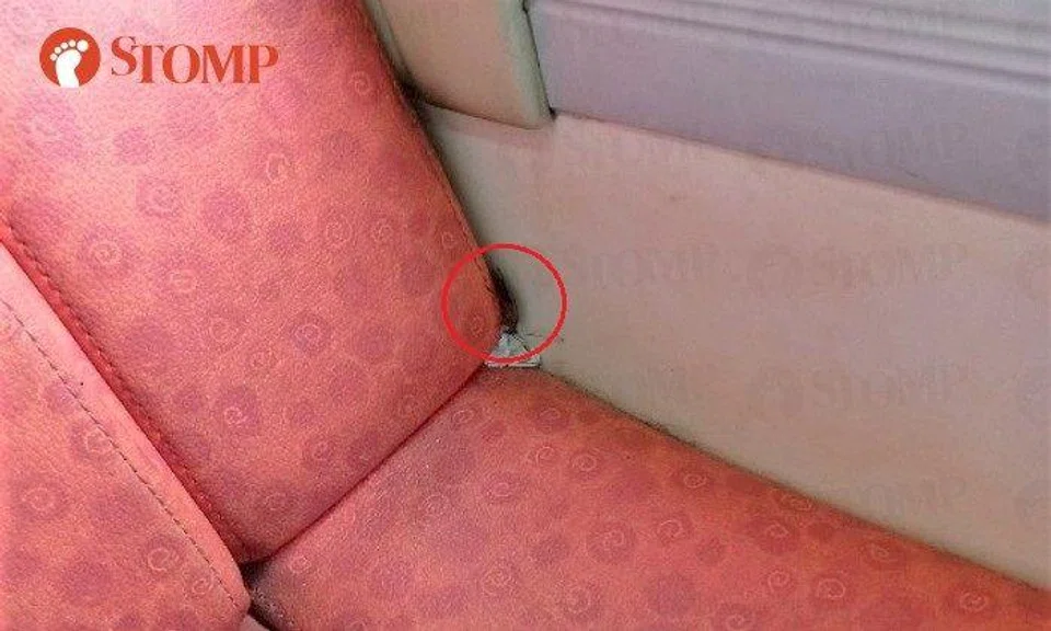 Stomper Jared said he spotted the insect on the bus travelling along Mountbatten Road towards the city.