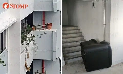 TPTC removes precariously placed plant pots and abandoned sofa after Stompers' complaints