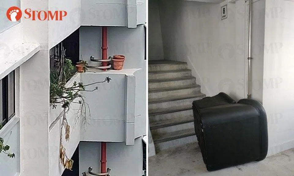TPTC removes precariously placed plant pots and abandoned sofa after Stompers' complaints