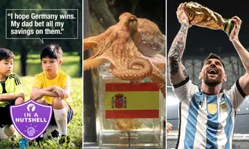 Paul the Octopus, anti-gambling advertisement, Lionel Messi holding World Cup trophy