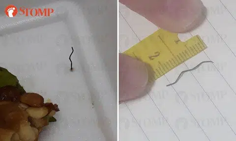 Stomper shares 'near-death encounter' after biting into 'rusty metal' in vegetarian meal