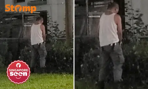 Man urinates in Woodlands community garden at 6.15am, town council urges social responsibility