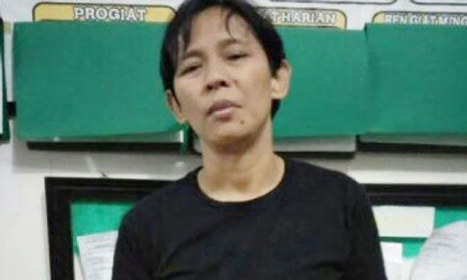 Maid in Bedok Reservoir double murder will not be sent back to S'pore