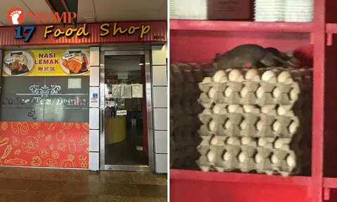 rats on eggs at joo koon mrt station food shop