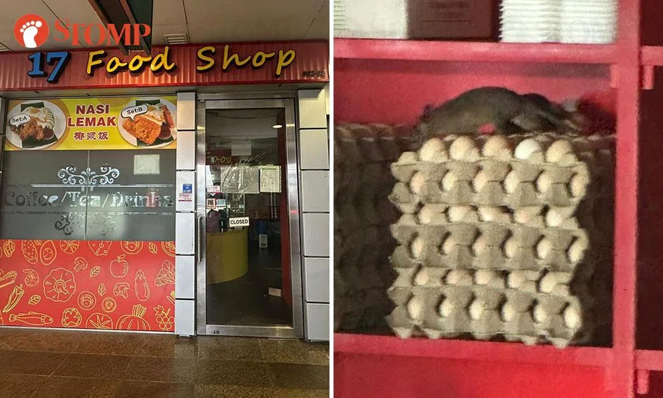rats on eggs at joo koon mrt station food shop