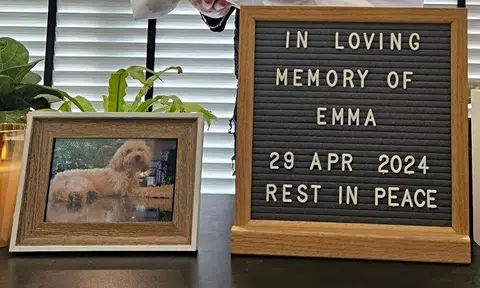 “Emma sleeps with me nightly; the bed feels empty, including the big void in my heart.”